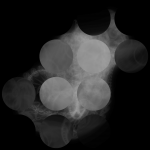 A day in Asia 20190517 CompoundDigitalMicroscope version
