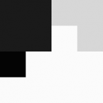 SellingLoose 461-320