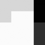 SellingLoose 462-320