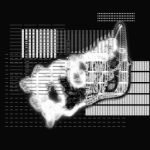 TheBase origin
