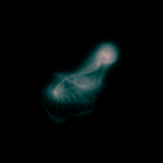 A day in Asia 20191014