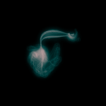 A day in Asia 20191017