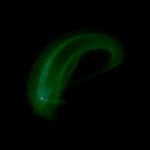 A day in Asia 20191102