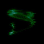 A day in Asia 20191103 (expectedly) failed version