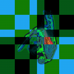 A day in Asia 20190911