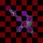 A day in Asia 20190912 CompoundDigitalMicroscope version