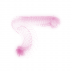 A day in Asia 20190816