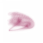 A day in Asia 20190817