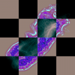 A day in Asia 20190906