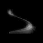 A day in Asia 20190708