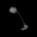 A day in Asia 20190710