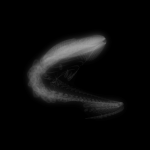 A day in Asia 20190719