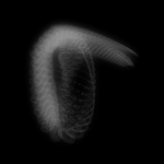 A day in Asia 20191010