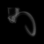 A day in Asia 20191013