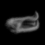 A day in Asia 20191026