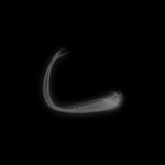 A day in Asia 20191029