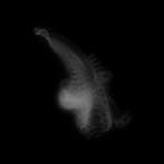 A day in Asia 20191114