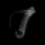 A day in Asia 20191119