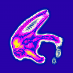 A day in Asia 20191122