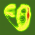 A day in Asia 20191125