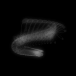 A day in Asia 20191201