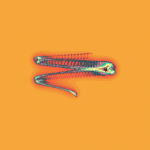 A day in Asia 20191202