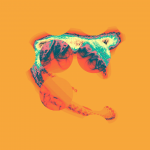 A day in Asia 20191209 CompoundDigitalMicroscope version