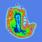 A day in Asia 20191220