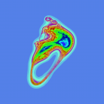 A day in Asia 20191228