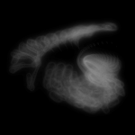 A day in Asia 20191229