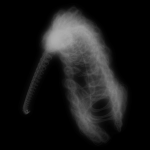 A day in Asia 20191230