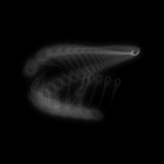 A day in Asia 20200106