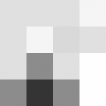 SellingLoose 383-382