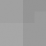 SellingLoose 500-202