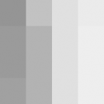 SellingLoose 502-202