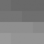 SellingLoose 509-200