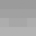 SellingLoose 509-201