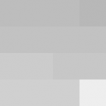 SellingLoose 511-202