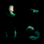 A day in Asia 20200212