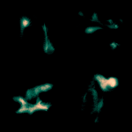 A day in Asia 20200216