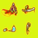 A day in Asia 20200219