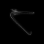 A day in Asia 20200405