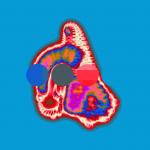 A day in Asia 20200413 CompoundDigitalMicroscope version