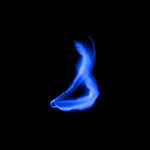 A day in Asia 20200501 CompoundDigitalMicroscope version