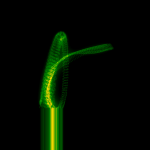 A day in Asia 20200519 (expectedly) failed version