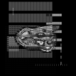 Asia with Multi-Standard 20200601