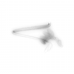 A day in Asia 20200619