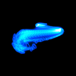 A day in Asia 20200707