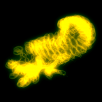 A day in Asia 20200712