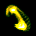 A day in Asia 20200714